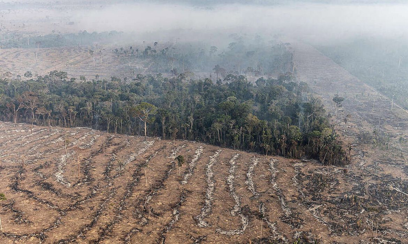 STF permite desapropriação de terra por incêndio ilegal e desmatamento