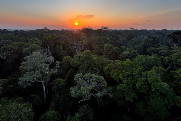 Começa hoje em Brasília a 5ª Conferência Nacional do Meio Ambiente