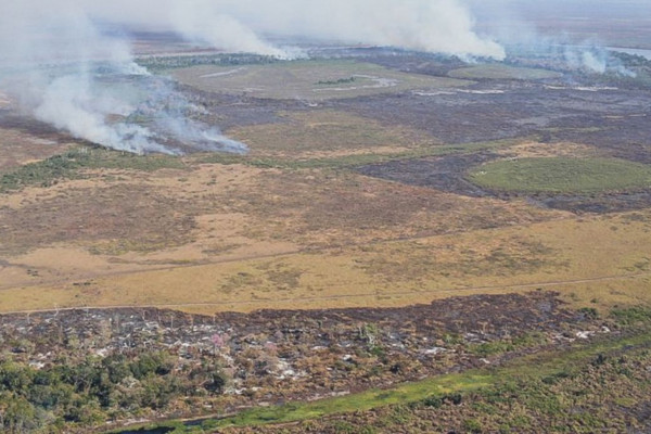 Amazônia: alerta de desmatamento cresce e mobiliza governo