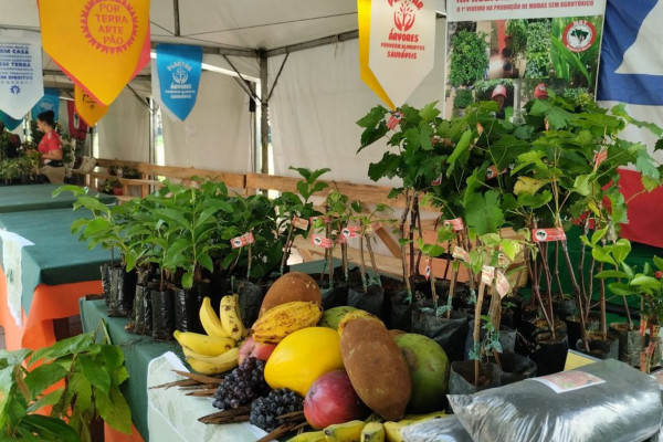 Feira da Reforma Agrária oferece alimentos produzidos por acampamentos