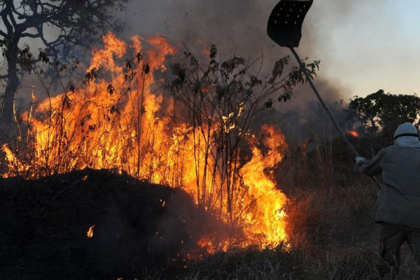 Ibama multa 242 pessoas por incêndios criminosos em 2024
