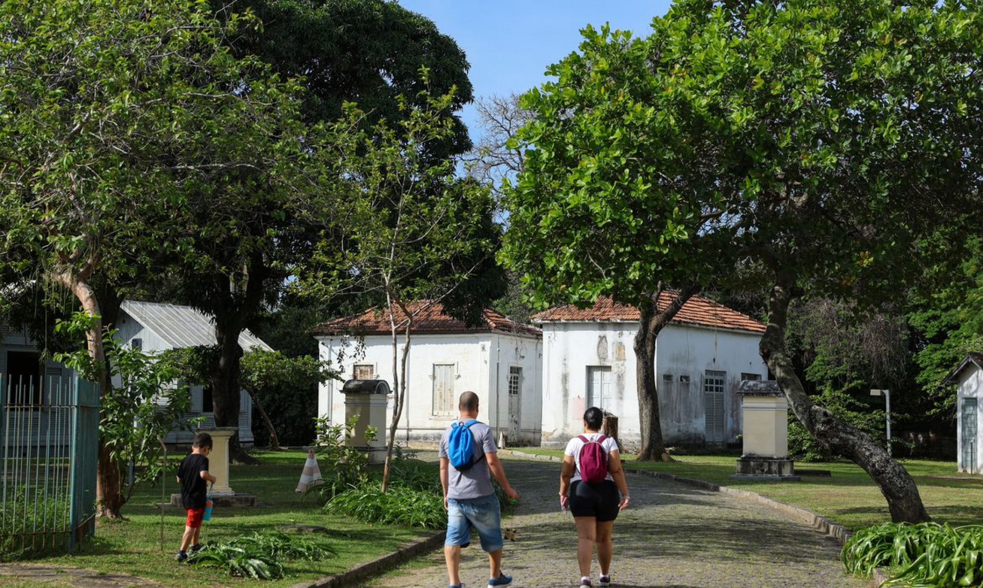 Programação no Mast lembra os 100 anos de visita de Eisntein ao Brasil