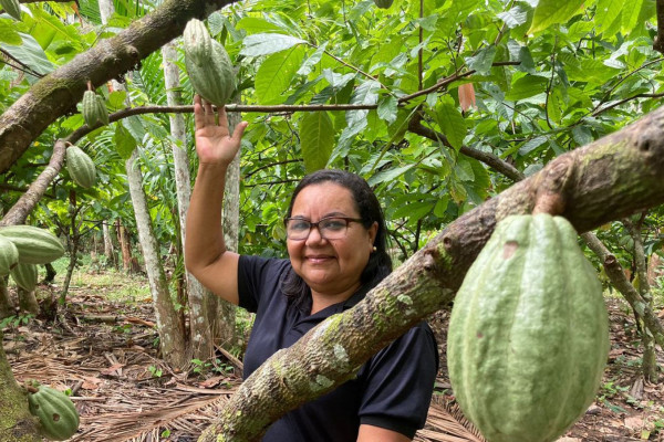 Potencial para bioeconomia atrai investimentos na Amazônia