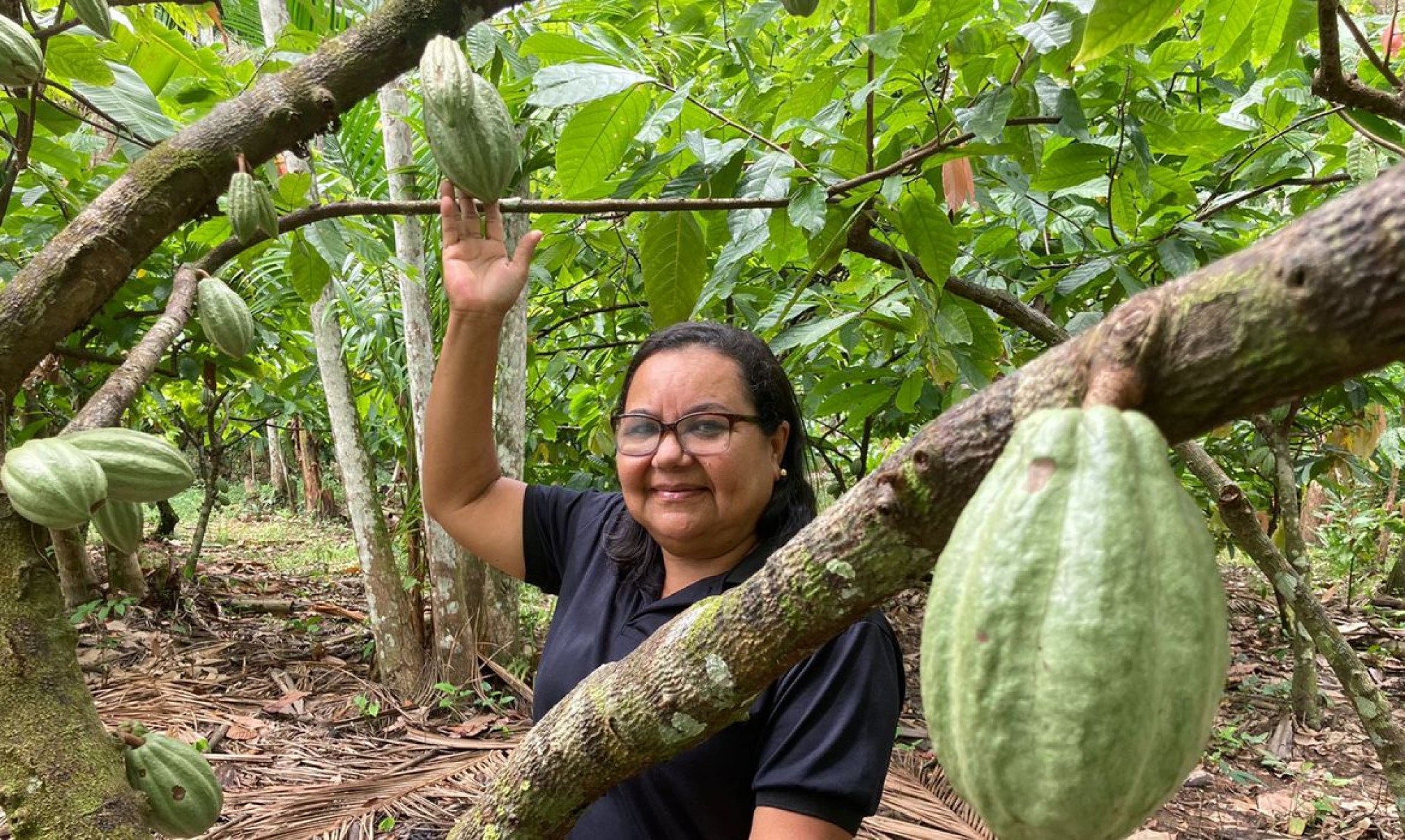 Potencial para bioeconomia atrai investimentos na Amazônia
