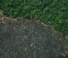 Projeto “implode” licenciamento ambiental no Brasil, diz especialista