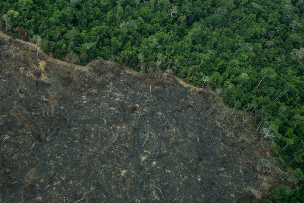 Projeto “implode” licenciamento ambiental no Brasil, diz especialista