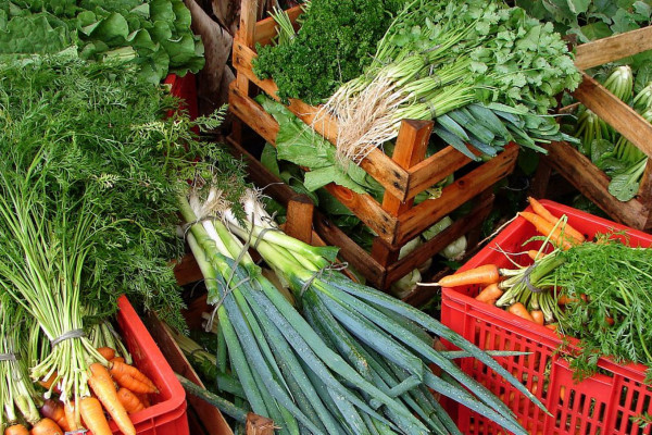 Custo de cesta básica ideal para uma pessoa chega a R$ 432 em abril
