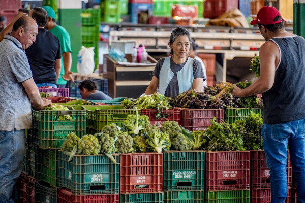 Anvisa inicia monitoramento de resíduos de agrotóxicos em alimentos