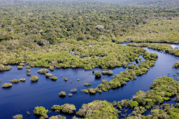Desmatamento no Brasil caiu 32,4% em 2024
