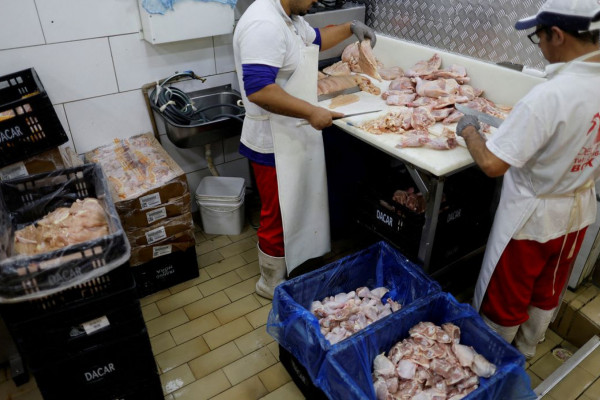 Prazo de 28 dias para Brasil ficar livre da gripe aviária começa hoje