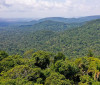 Instituto lança edital para projetos que protejam a Amazônia