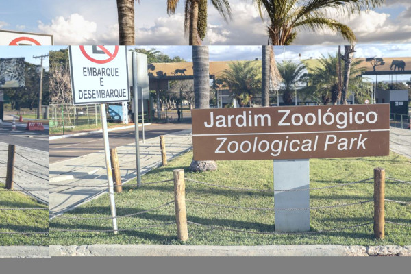 Zoológico de Brasília é fechado após suspeita de gripe aviária
