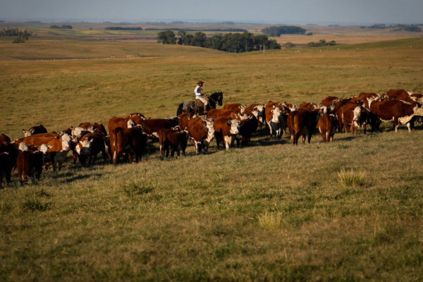 PIB cresce 1,4% no primeiro trimestre de 2025
