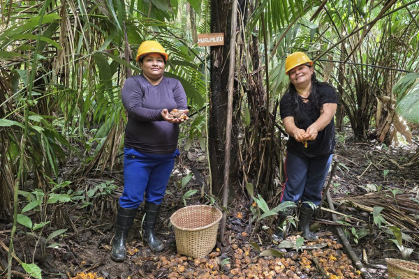Mulheres extrativistas enfrentam preconceito e geram renda na Amazônia
