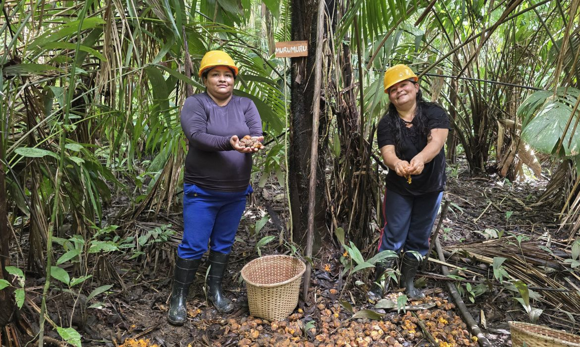 Mulheres extrativistas enfrentam preconceito e geram renda na Amazônia