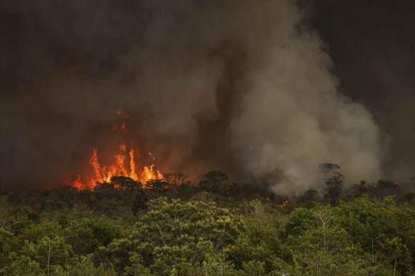 Câmara aprova aumento de punição a quem provocar incêndios florestais