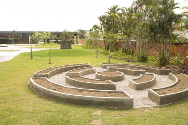 Museu do Pontal lança programação voltada à conscientização ambiental