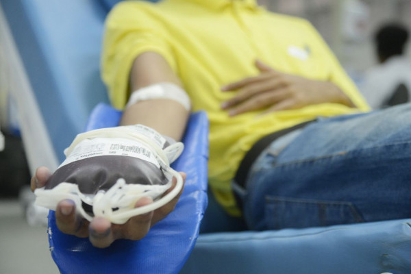 Cariocas terão deslocamento gratuito para doação de sangue no Hemorio