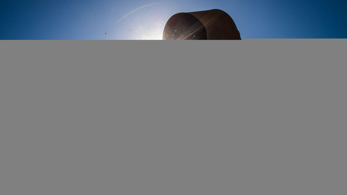 Brasil poderá ter novo recorde na produção de grãos na safra 2024/2025