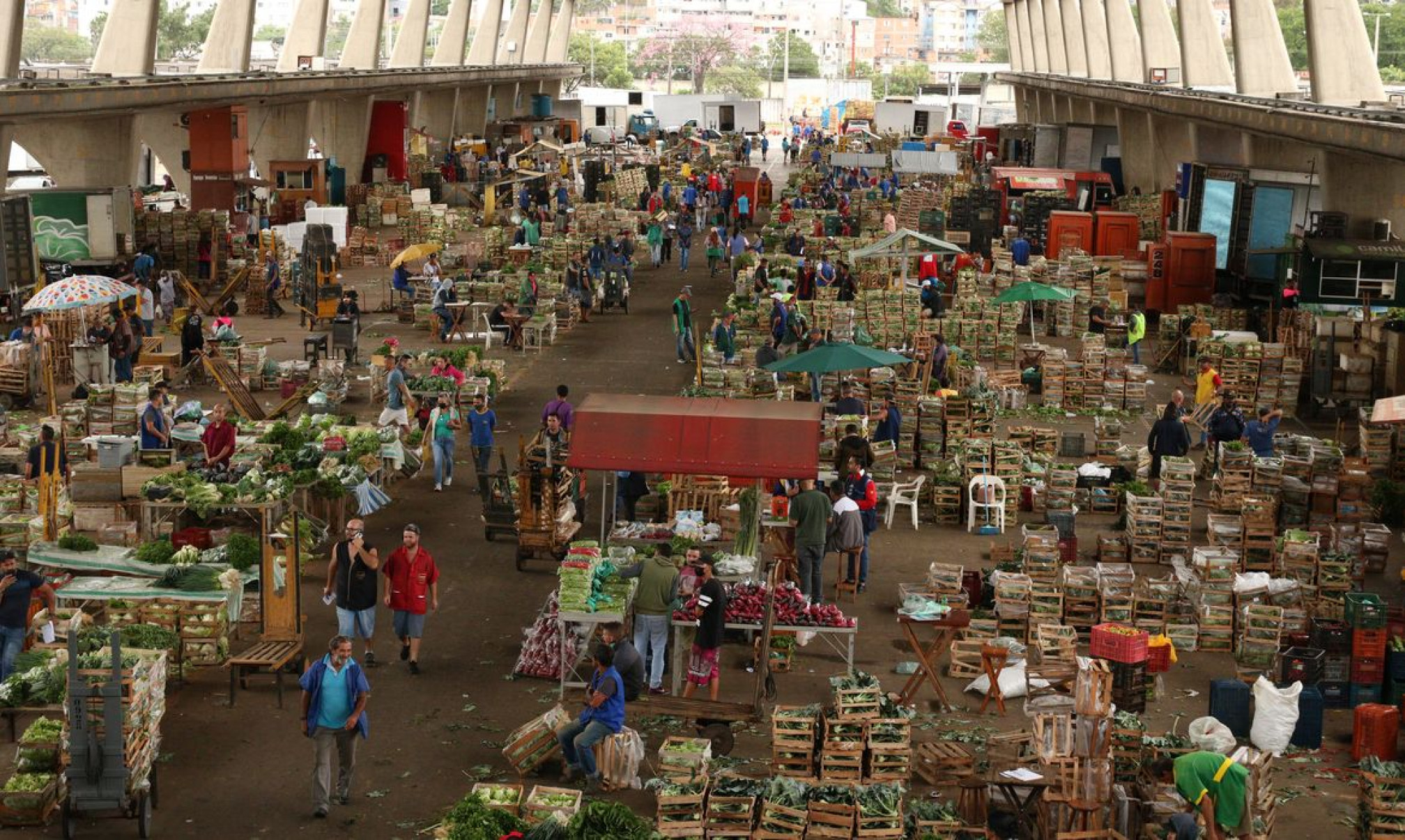 Ceagesp recebe festa japonesa e entrega Torre do Relógio restaurada