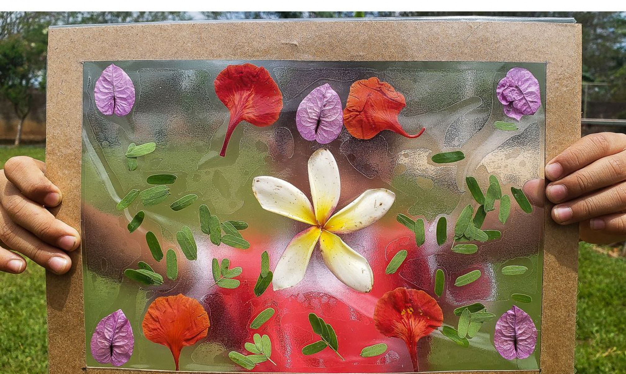 Natureza precisa ser aliada e não ameaça às crianças, diz especialista