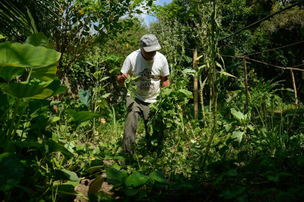 Edital seleciona 36 projetos para fortalecer agricultura familiar