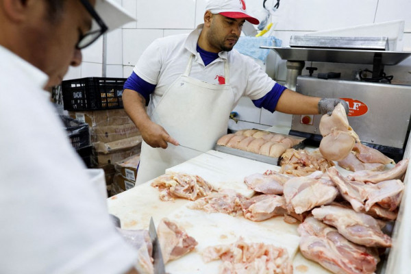 Gripe aviária: 17 países suspendem restrição à carne brasileira