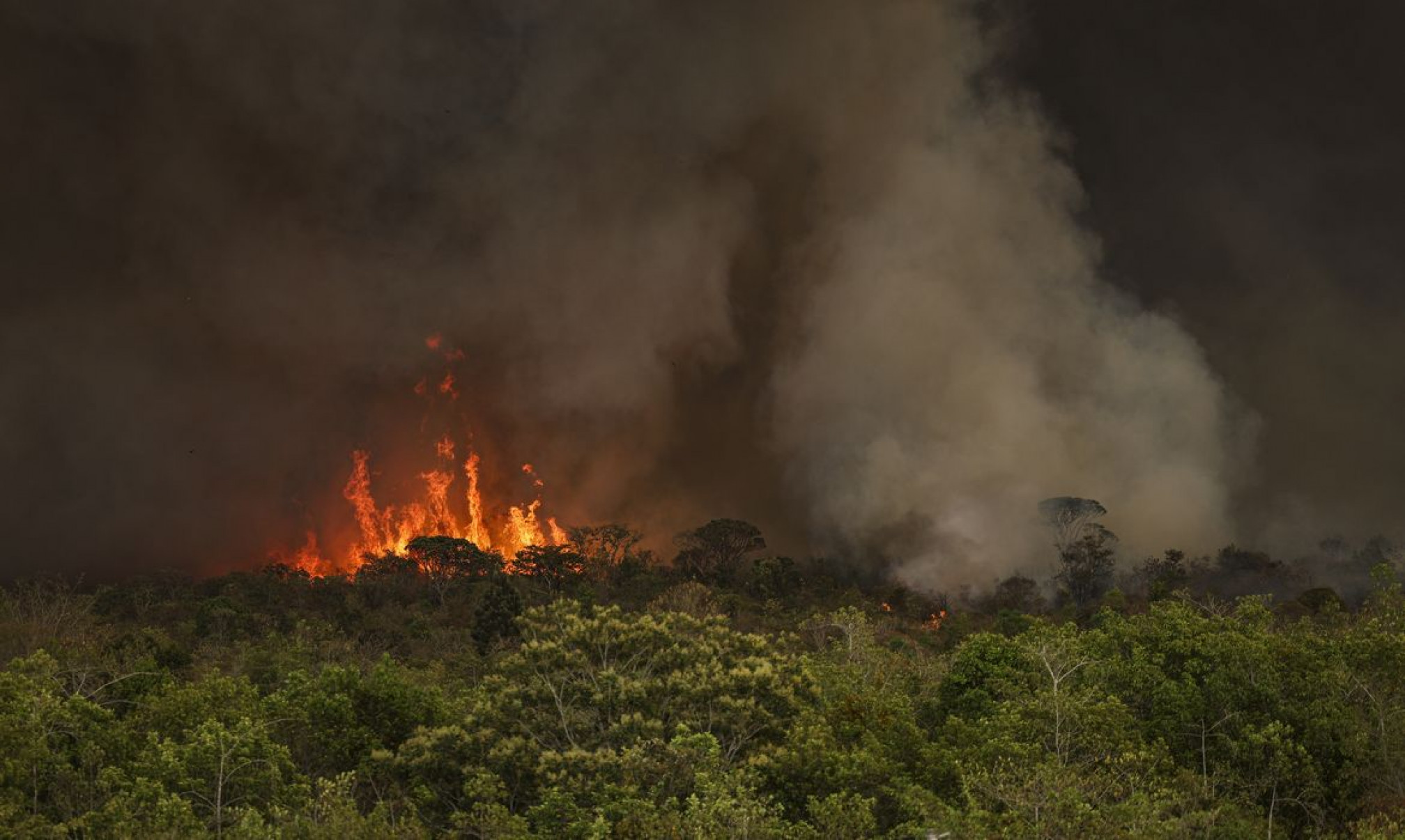 Queimadas atingiram 30 milhões de hectares no país em 2024