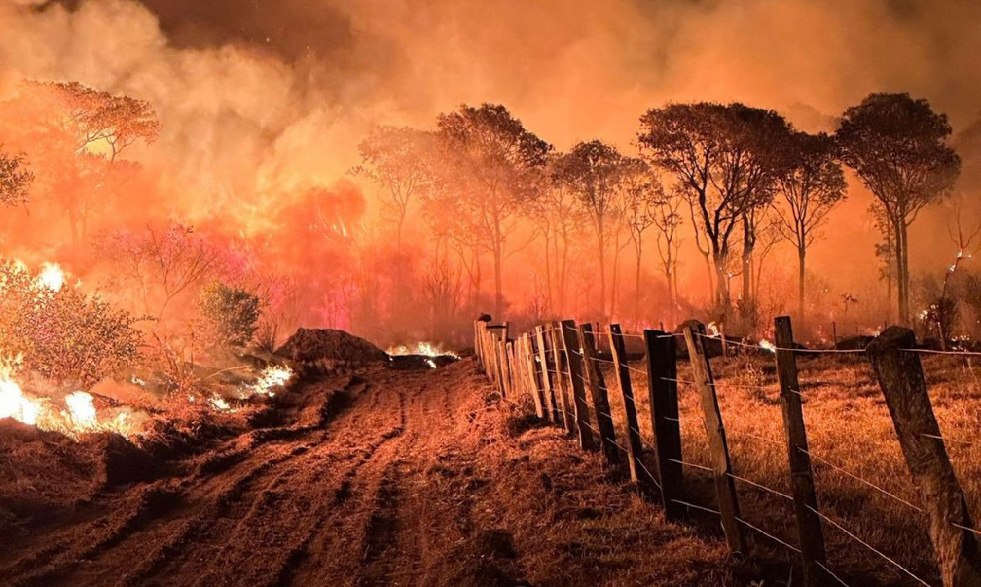 Ações da Operação Incêndios 2025 da PF iniciam pelo Pantanal