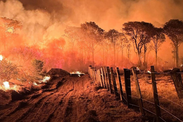 Ações da Operação Incêndios 2025 da PF iniciam pelo Pantanal