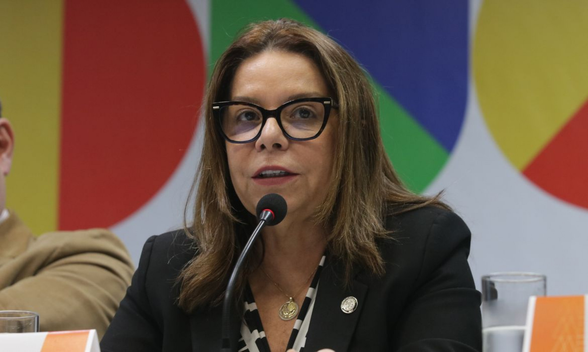 Estudantes devem buscar alternativa aos EUA, diz presidente da Capes