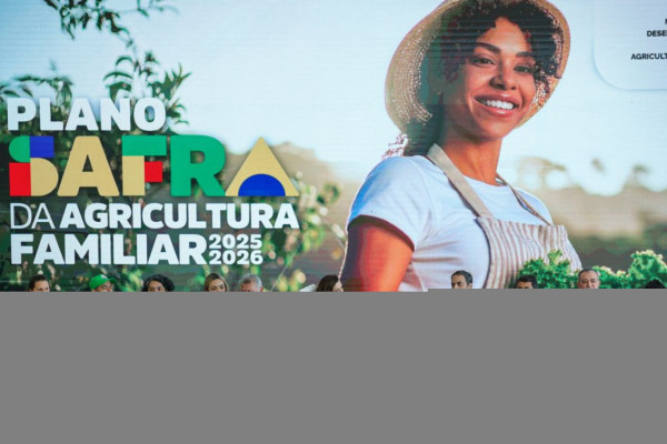 Plano Safra 25/26 prevê R$ 89 bilhões para agricultura familiar