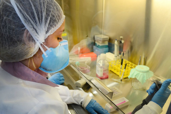 USP: pesquisa de vacina contra zika avança em testes com camundongos