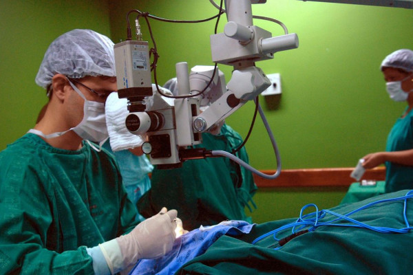Exames são importantes para diagnóstico do câncer de intestino