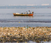 Pescadores tiram 46 toneladas de lixo em baías de Guanabara e Sepetiba