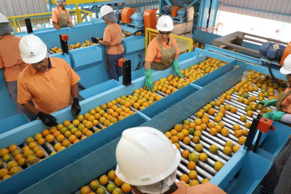 Confira a lista de quase 700 produtos que não serão taxados pelos EUA