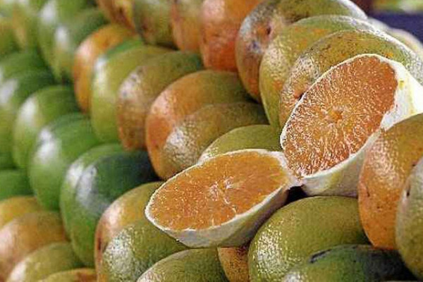 Exceções do tarifaço representam 43,4% do valor exportado aos EUA