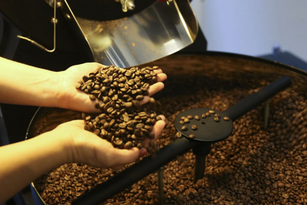 Exportadores querem incluir café na lista de exceções dos EUA
