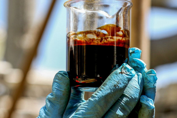 Estados Unidos compram 8% de todo o petróleo exportado pela Petrobras