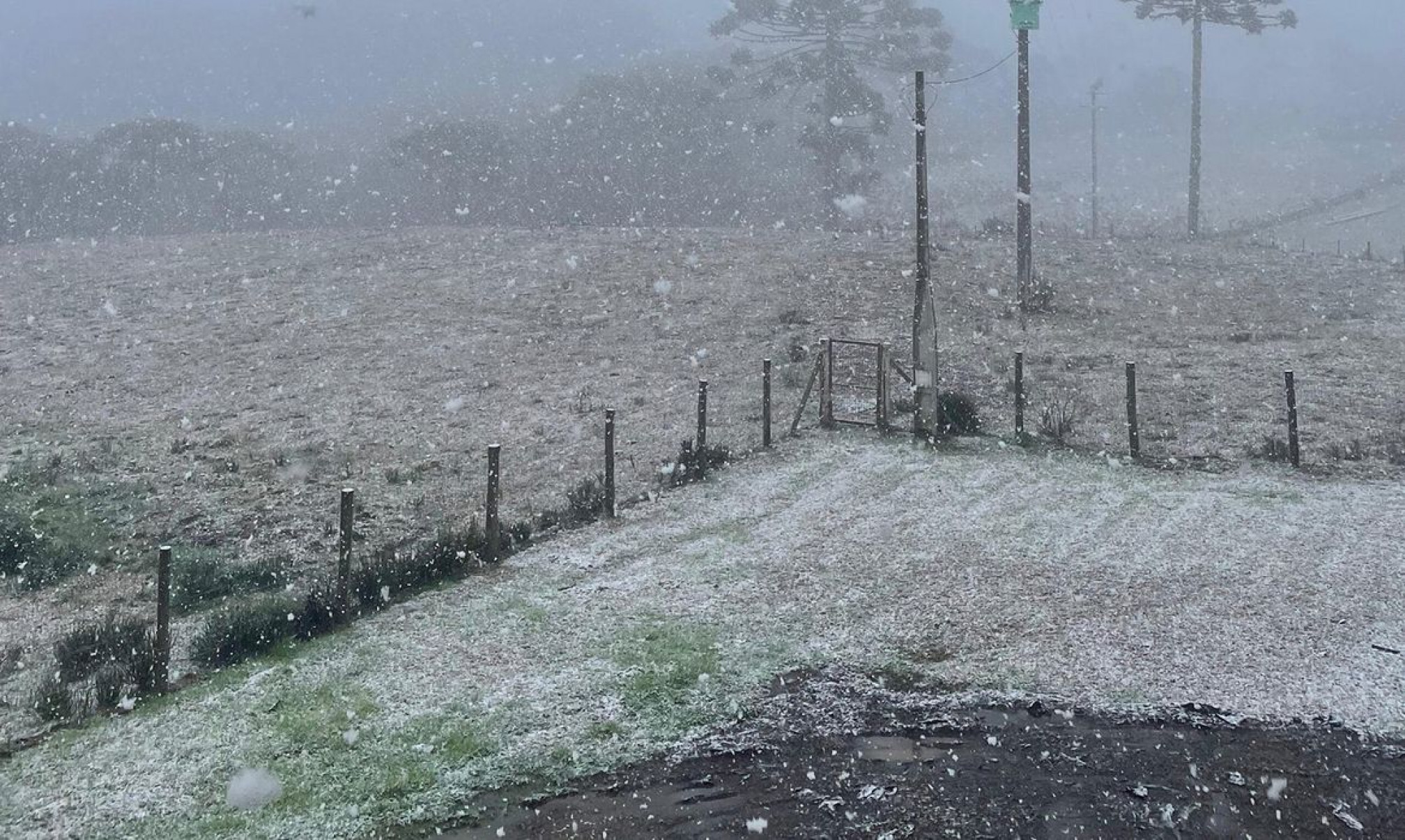 Rio Grande do Sul registra neve em algumas localidades