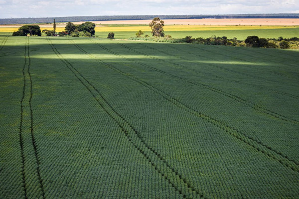 COP30: agro quer se posicionar como parte da solução, diz associação