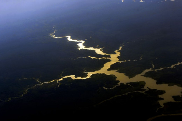Fundo Amazônia completa 17 anos com novos investimentos