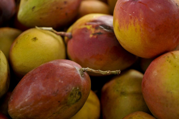Abrafrutas apoia plano e pede atenção a pequenos produtores