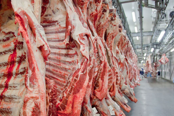 Exportação de carne bovina bate recorde em mês anterior ao tarifaço