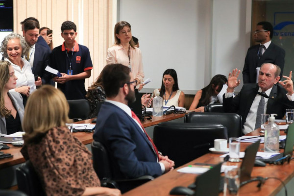 CCJ do Senado aprova novo código eleitoral com 900 artigos