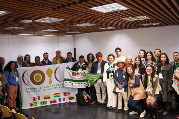Organizações sociais querem participação na governança da OTCA