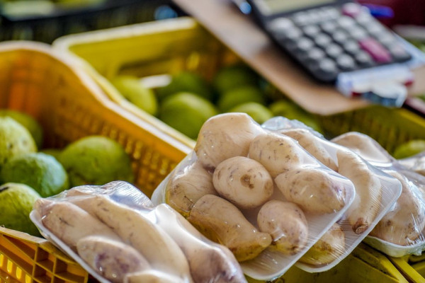 Batata e cebola estão mais baratas, diz Conab