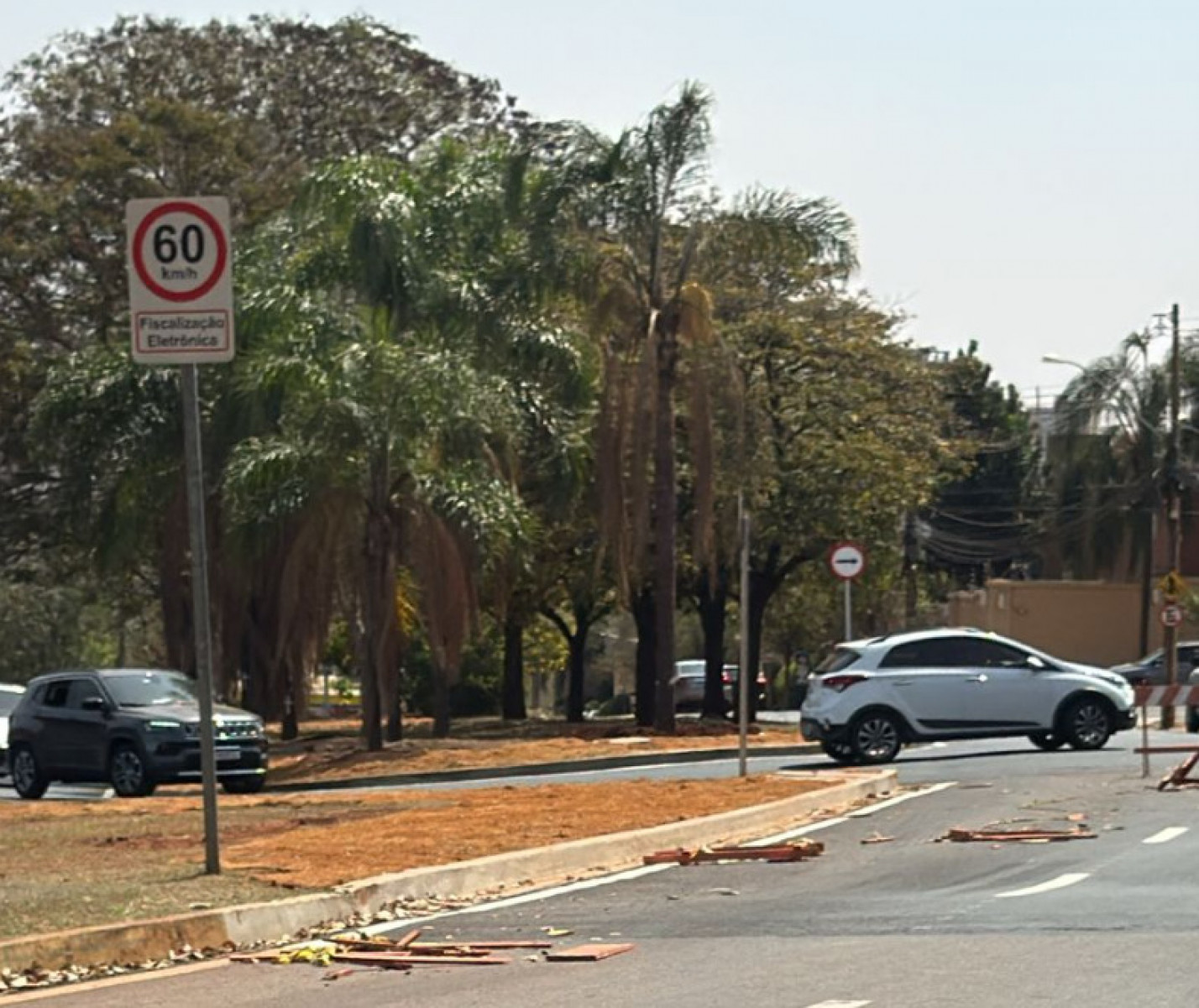 Avenida Heráclito Fontoura Sobral Pinto 