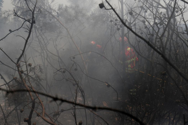 UE: incêndios florestais já queimaram mais de 1 milhão de hectares