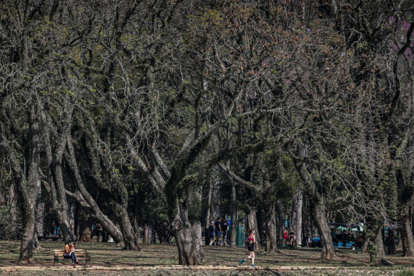 Cidade de São Paulo tem agosto mais seco desde 2020